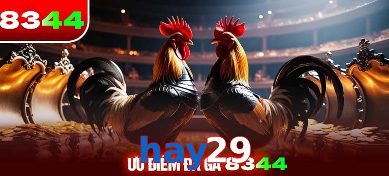 Thể loại đá gà hay29 được ưa chuộng 